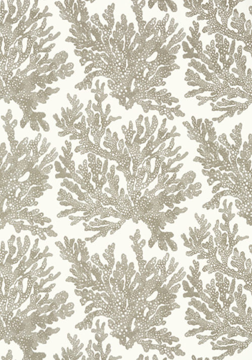 MARINE CORAL T10140